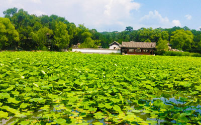 北京起止,避暑山庄、普宁寺景区/小布达拉宫景区双汽二日游